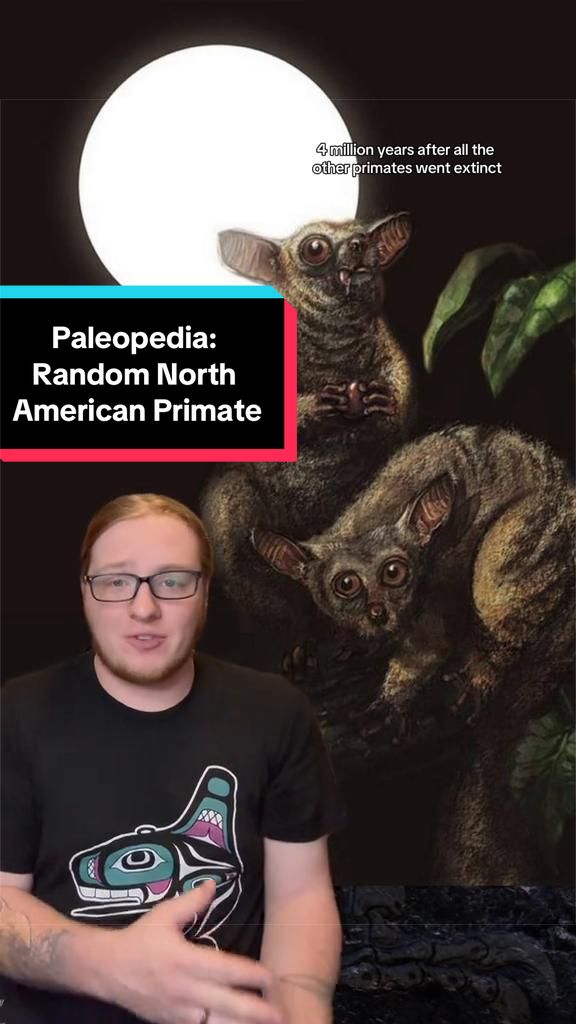 @Paleopedia