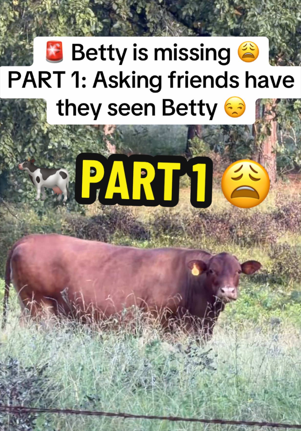 @bossdvincii