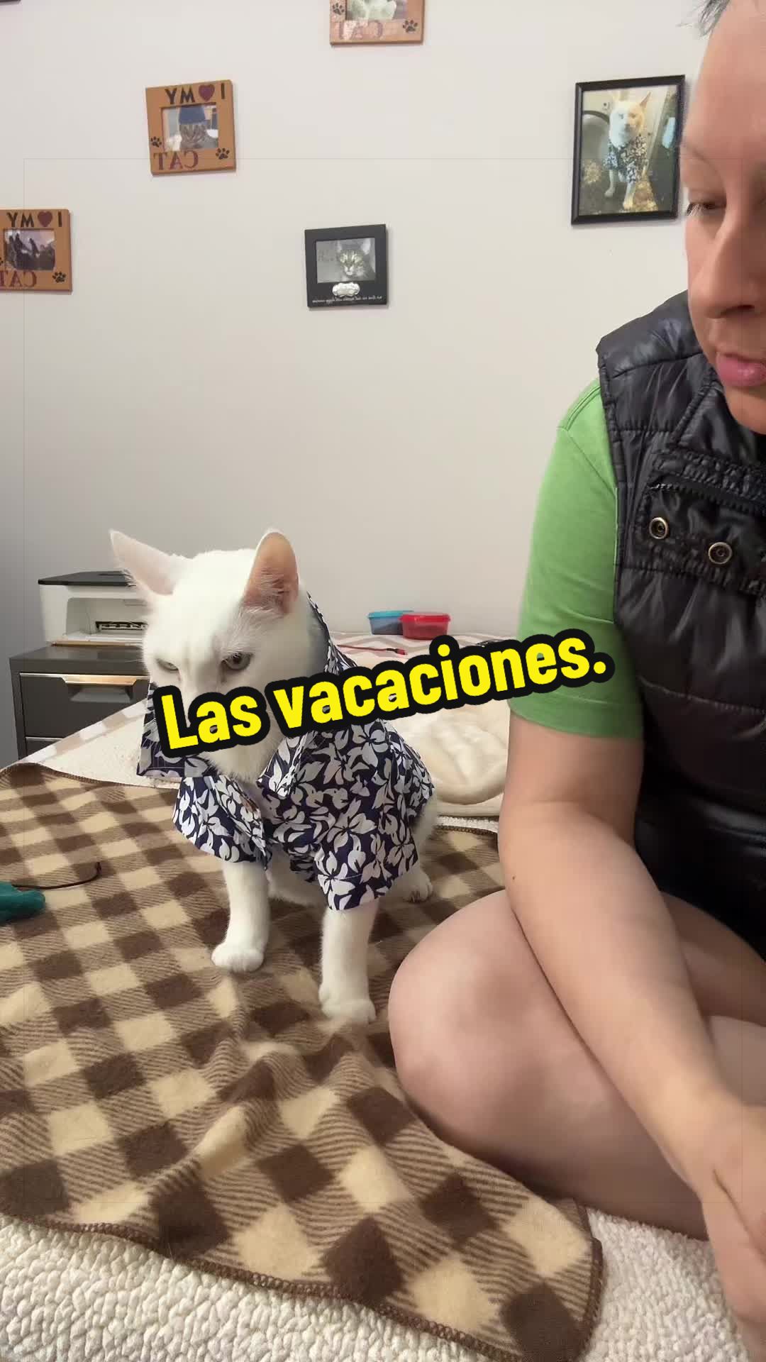 @🦖 MEOWassic CAT😺
