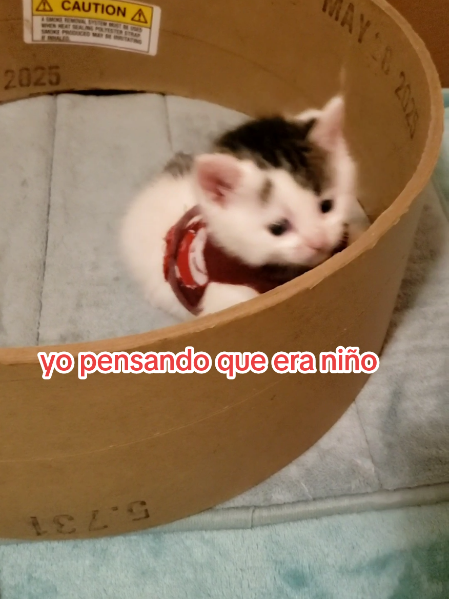 @yoggy18