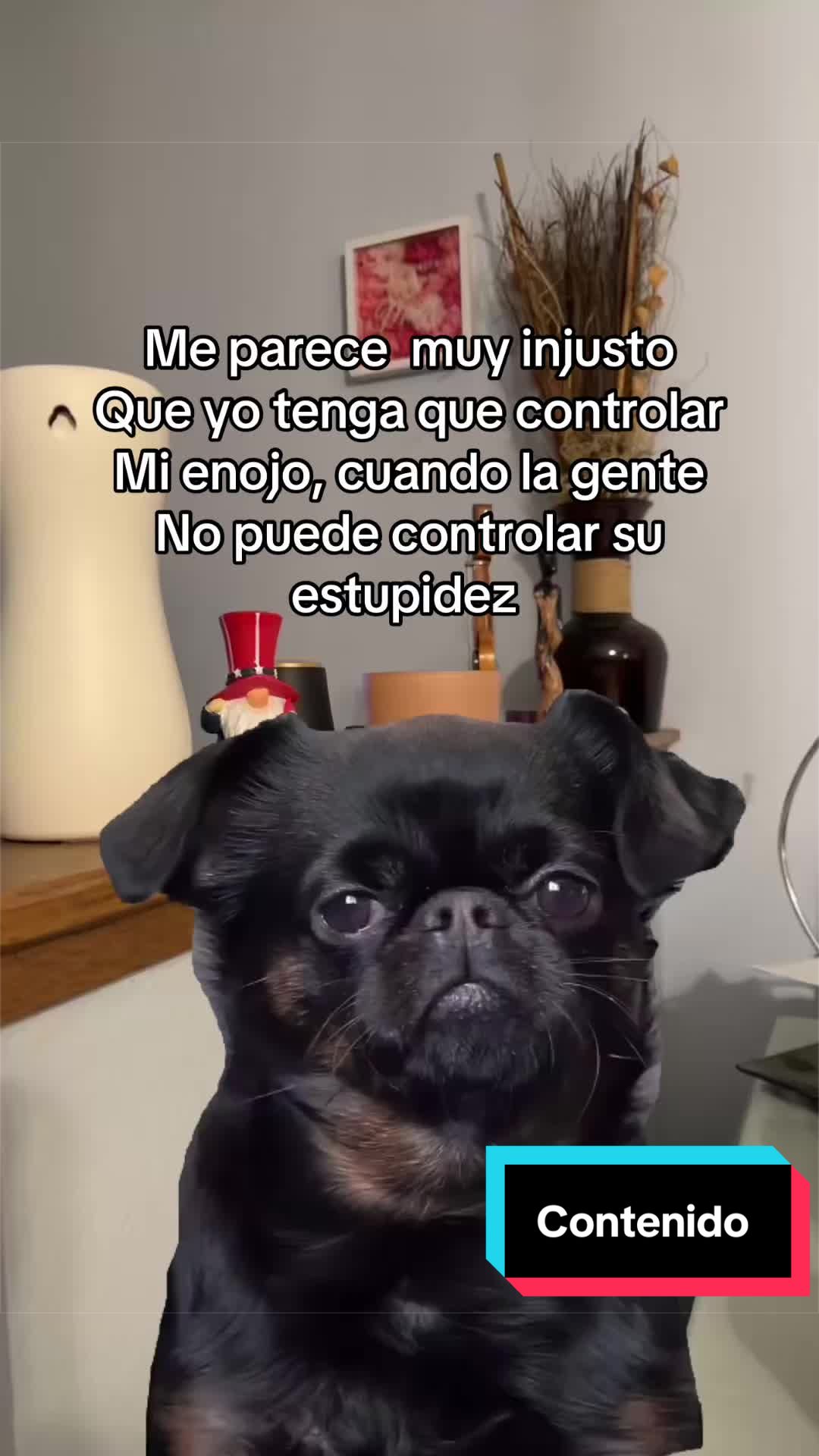 @Yohandragonz