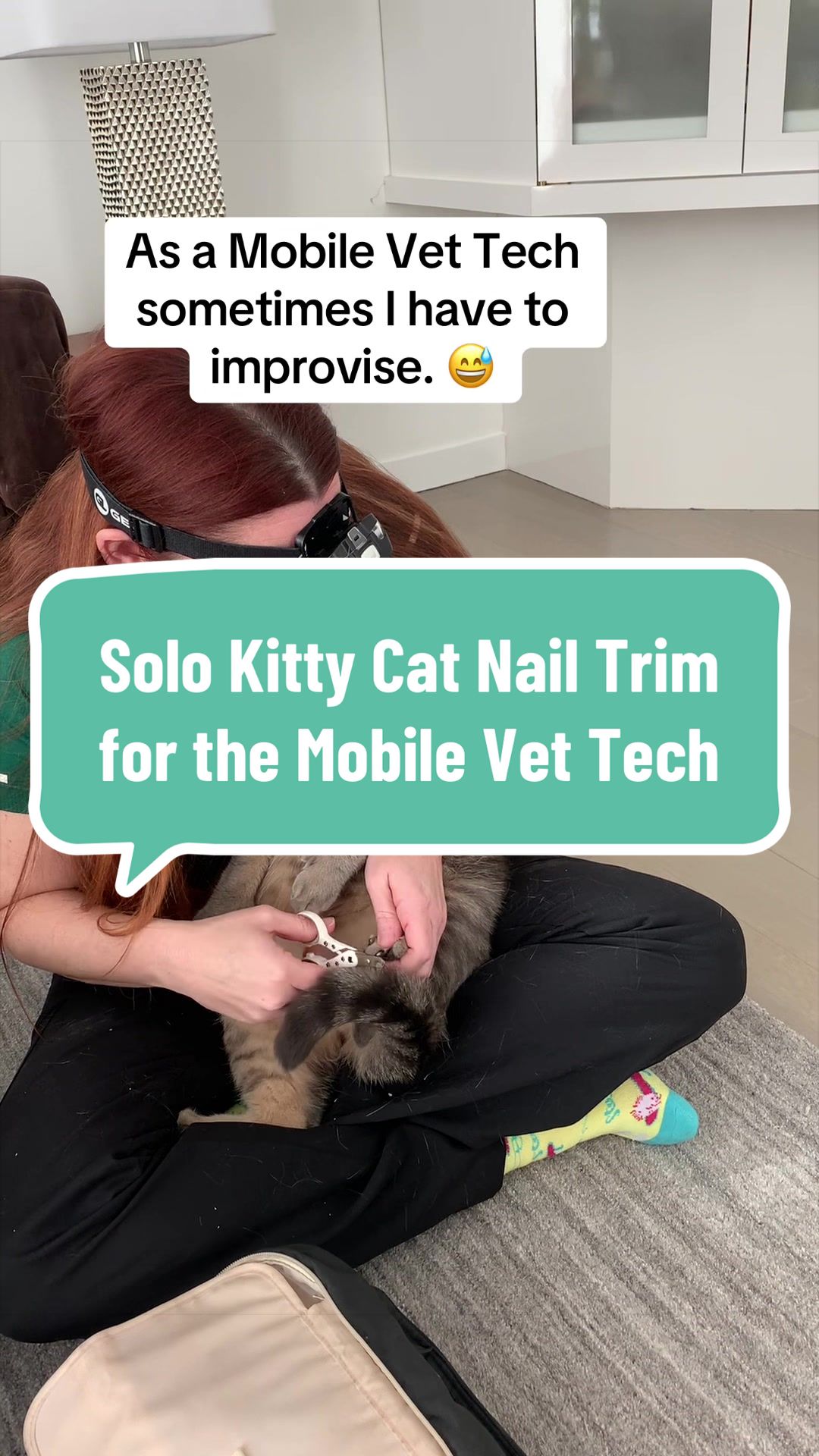 @The.Mobile.Vet.Tech