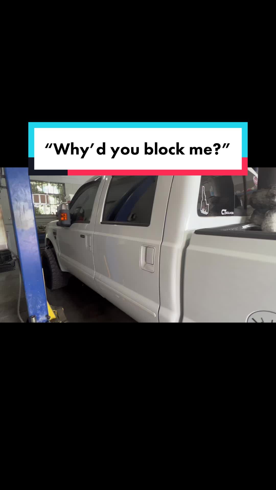 @bearyfast6.4