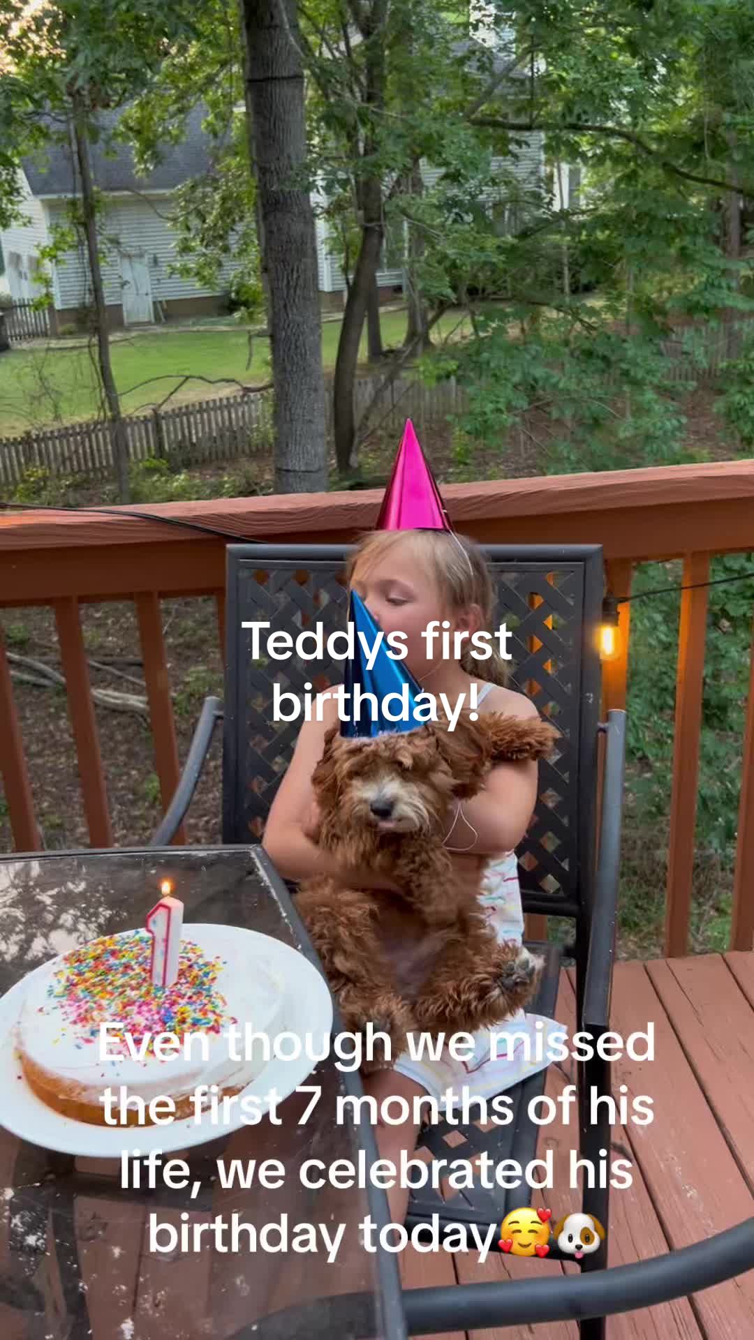 @Teddy