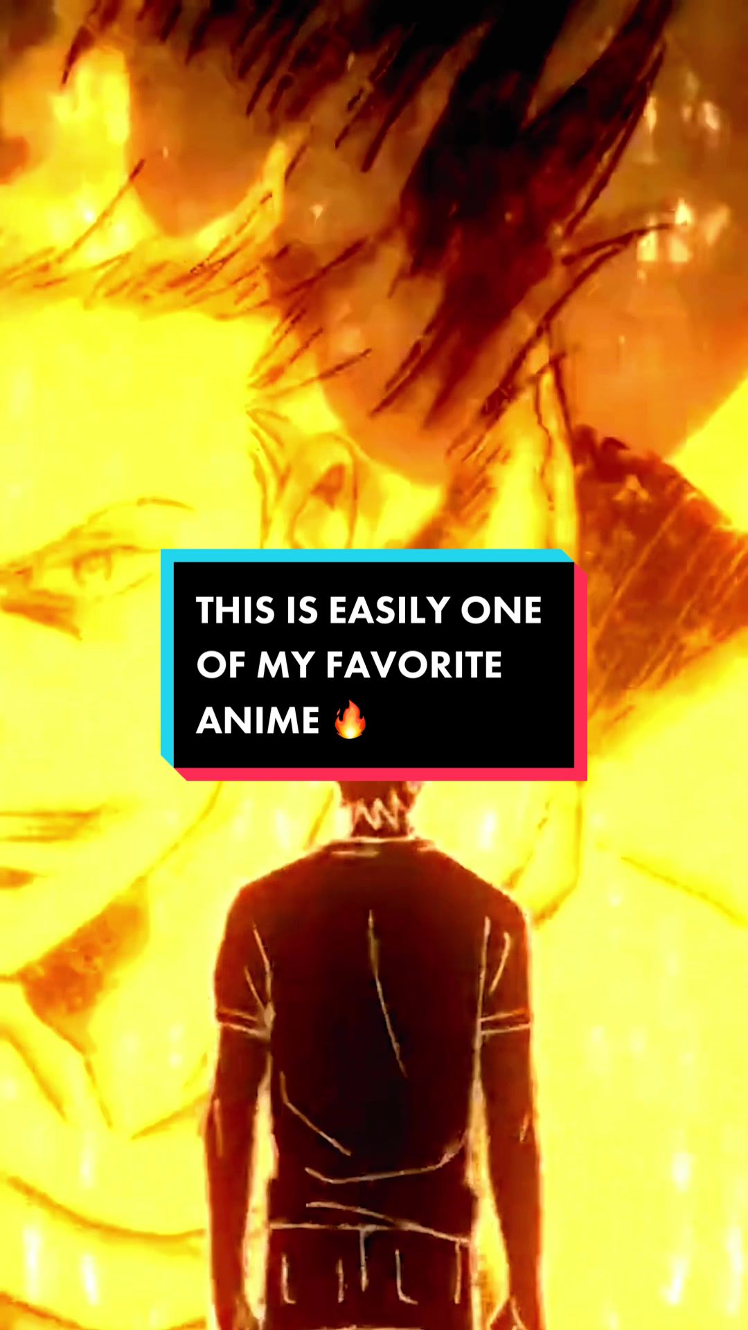 @Otaku Haven