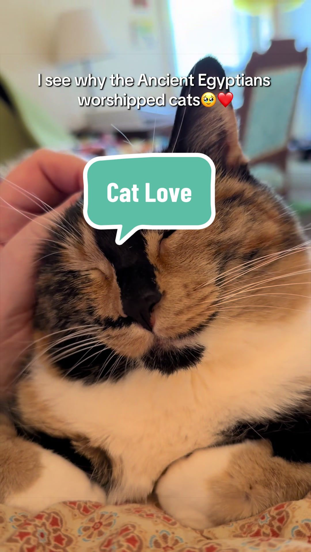 @SnickersTheSmilingCat