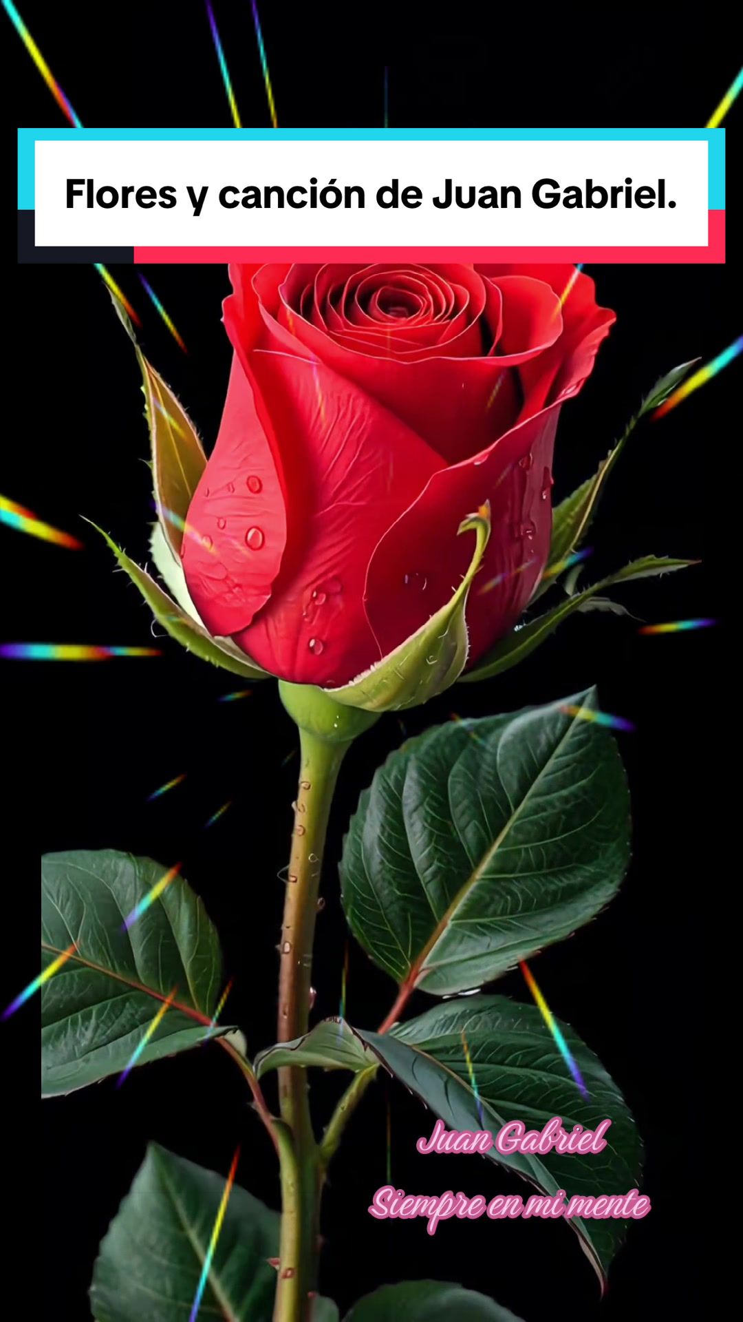 @💛Olgaconesa5💛