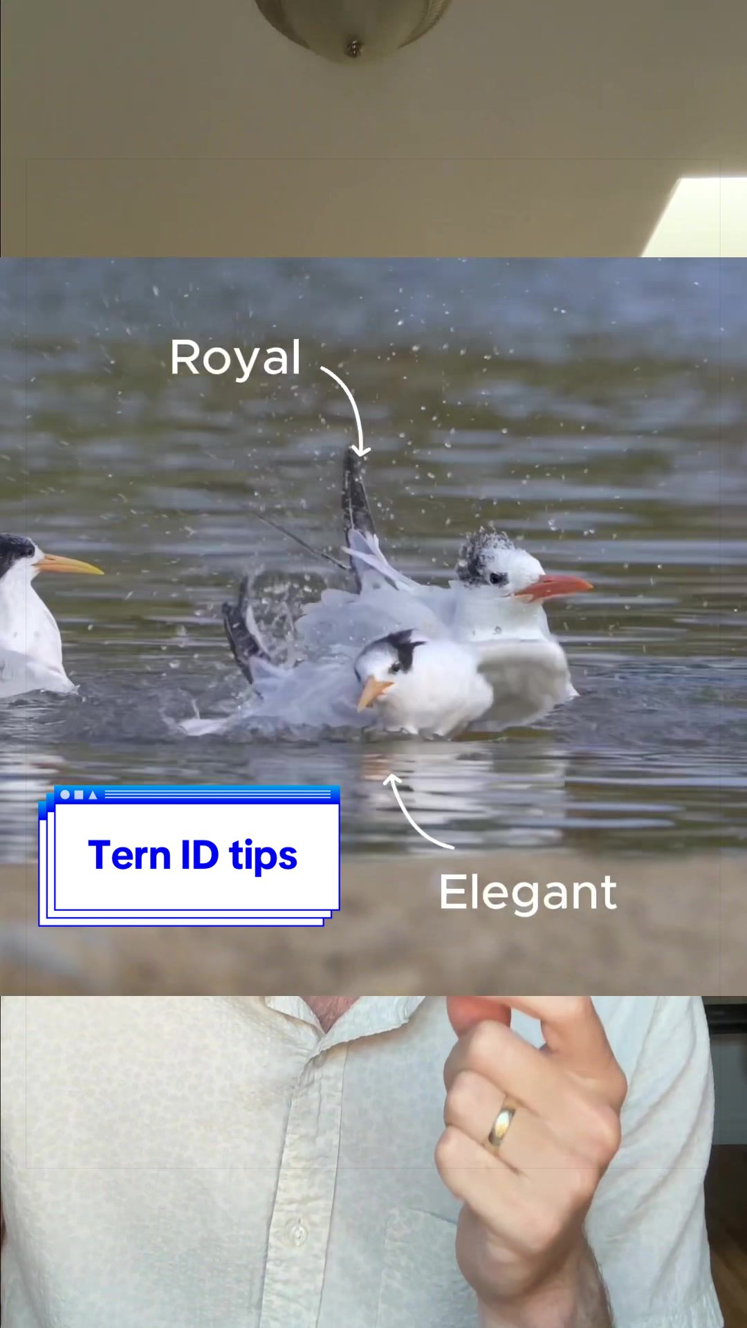 @Nature is Surreal