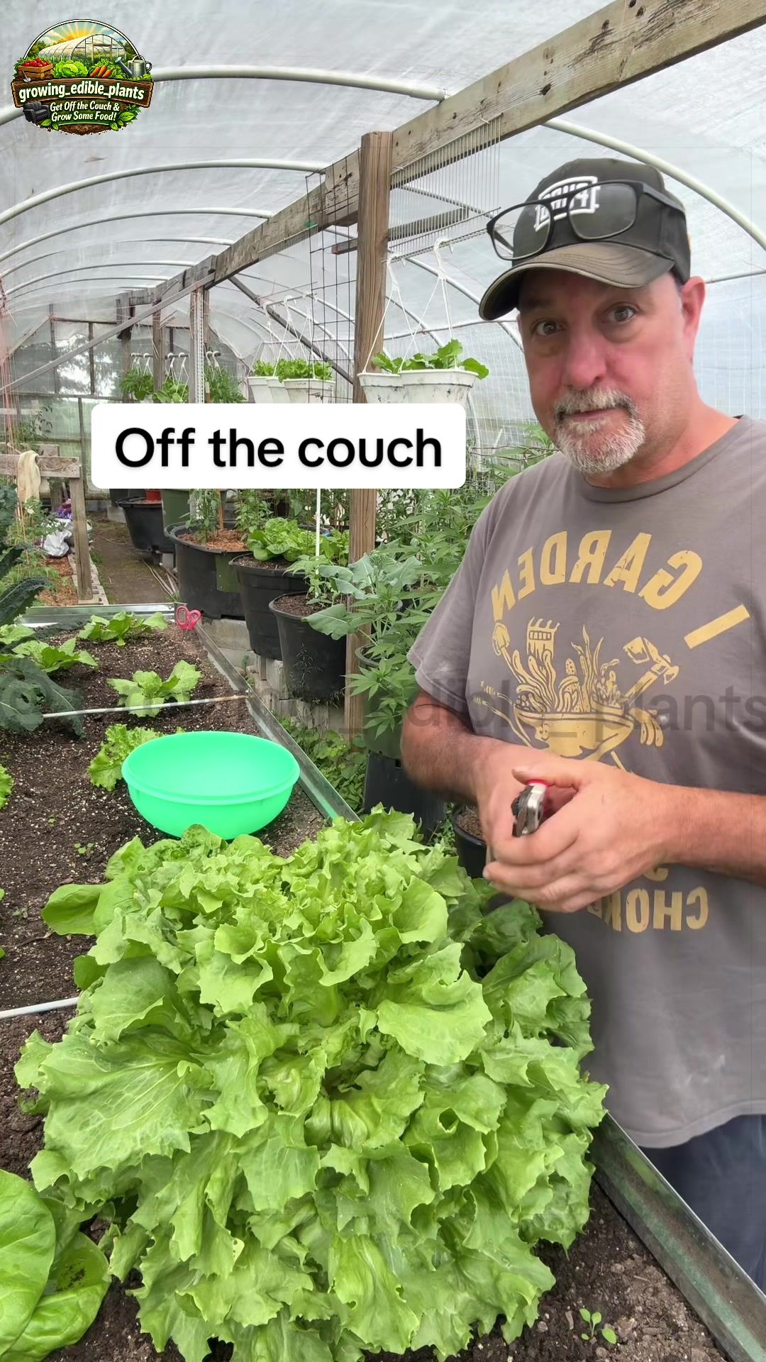 @GROWING_EDIBLE_PLANTS