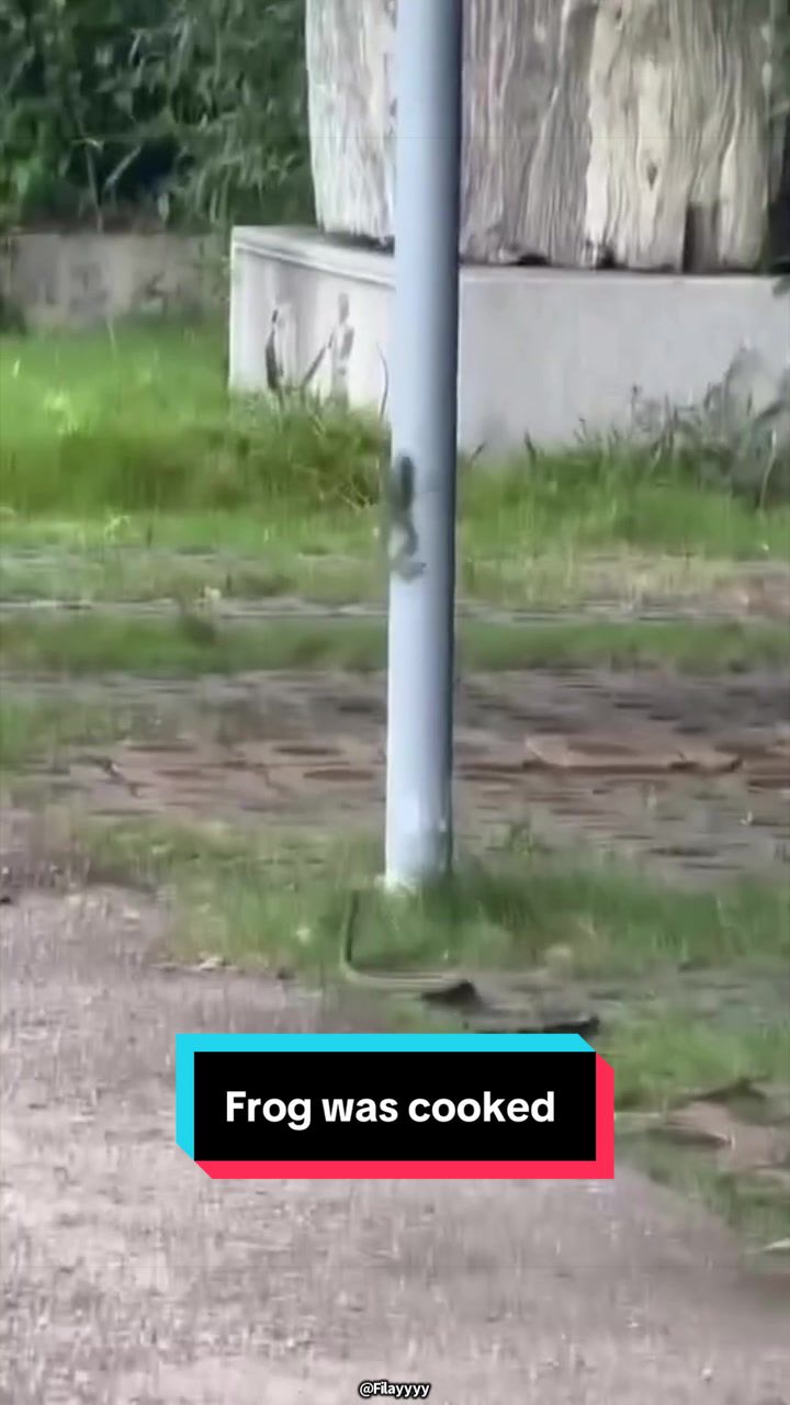 @Filayyyy