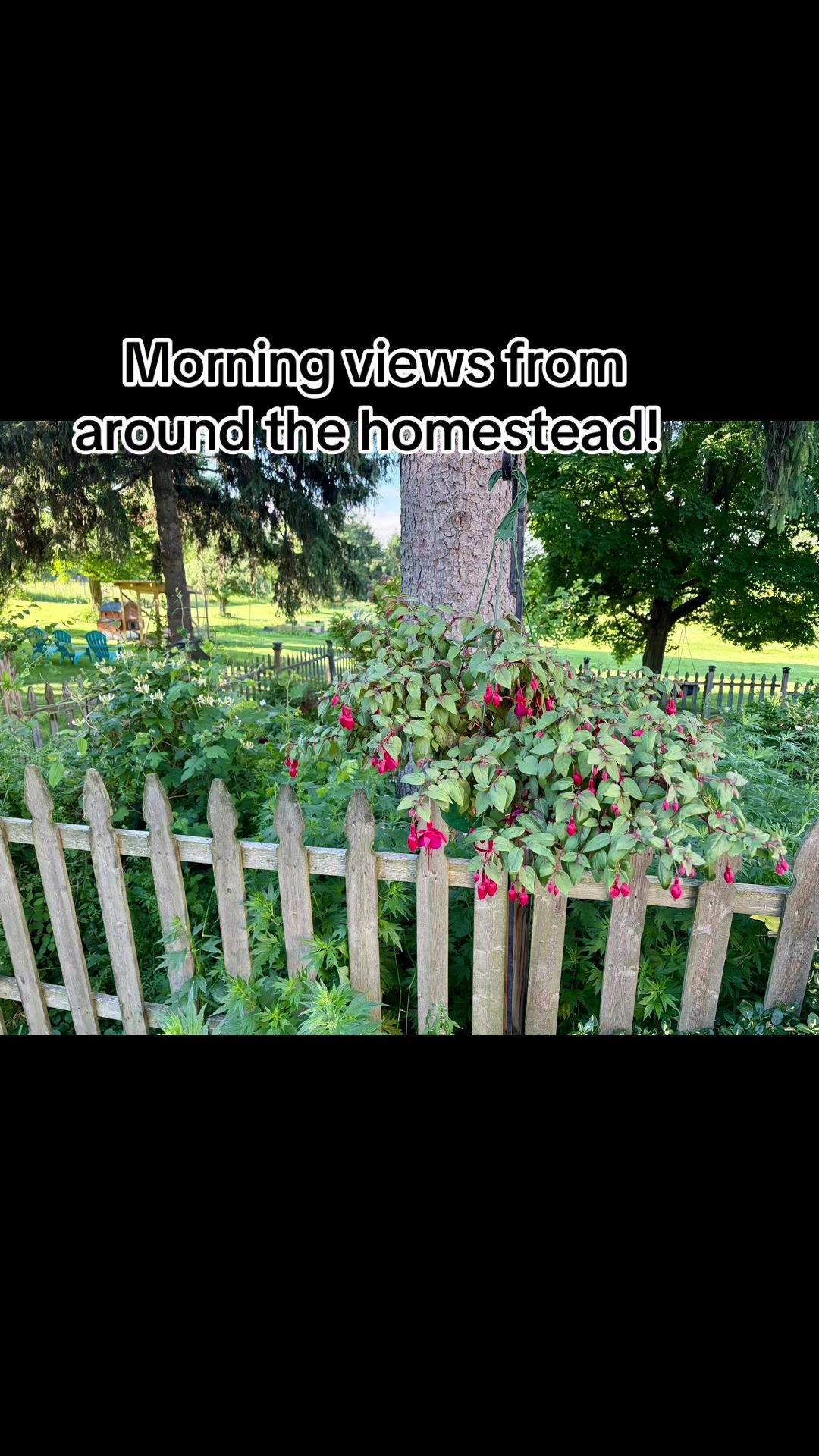 @Resistance Homesteaders