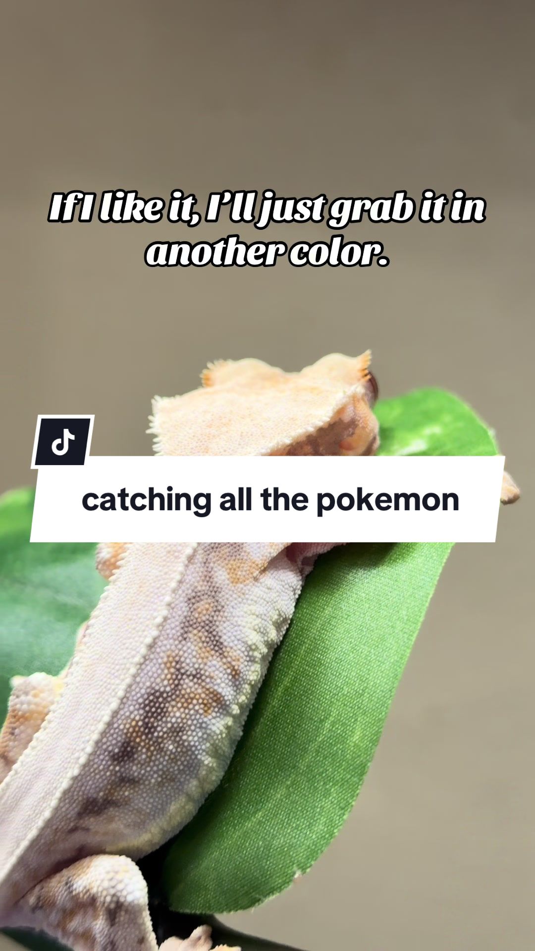 @mysticmorphes