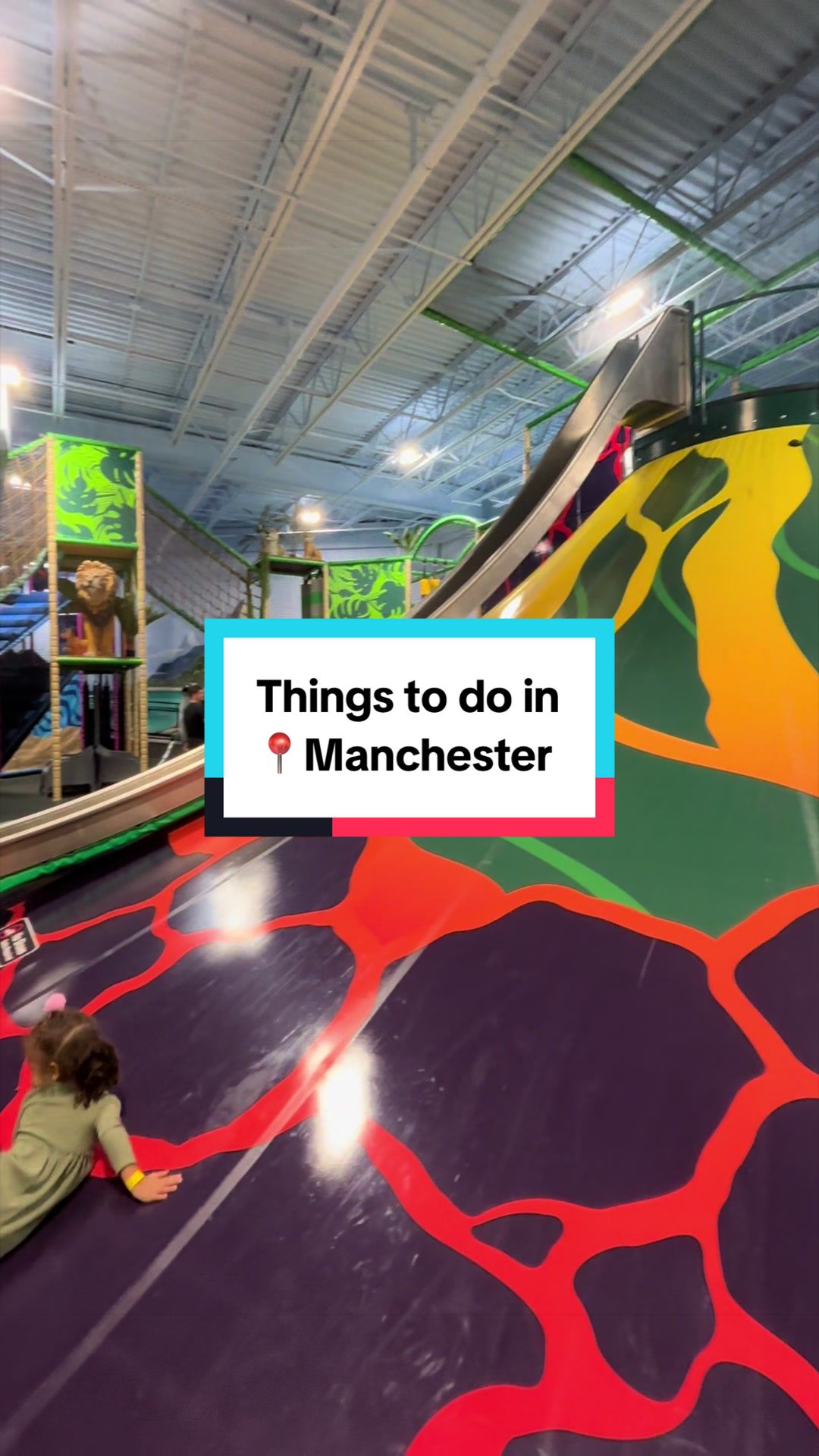 @themushuganatoddler_ct