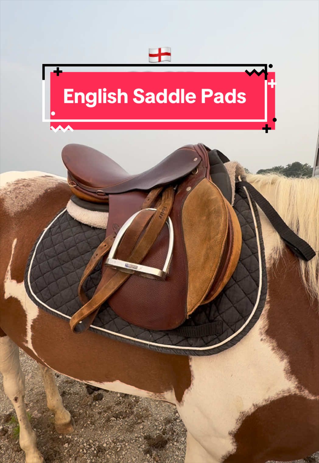 @yourhorseandponyleader