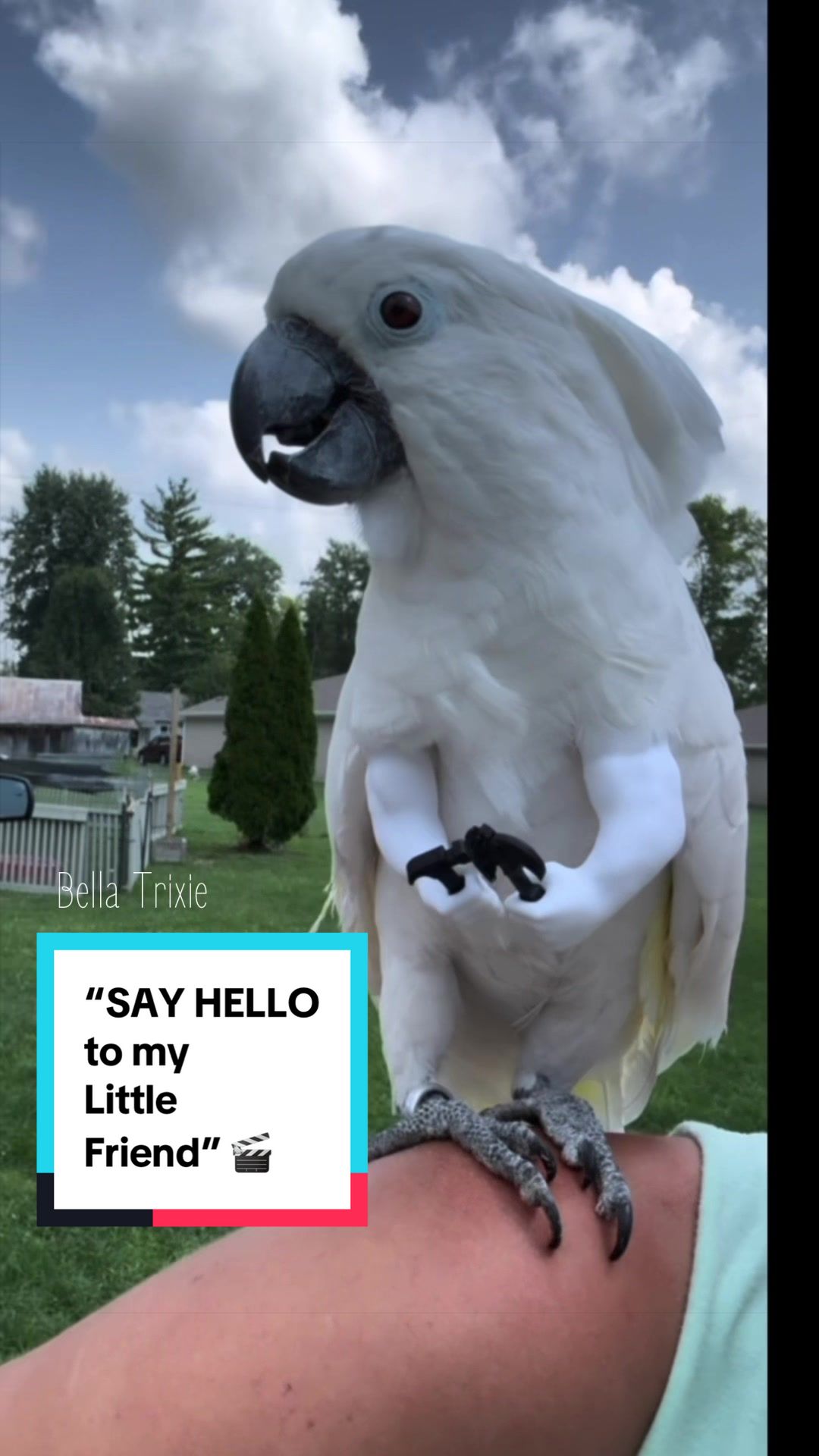 @bella_trixie_unleashed