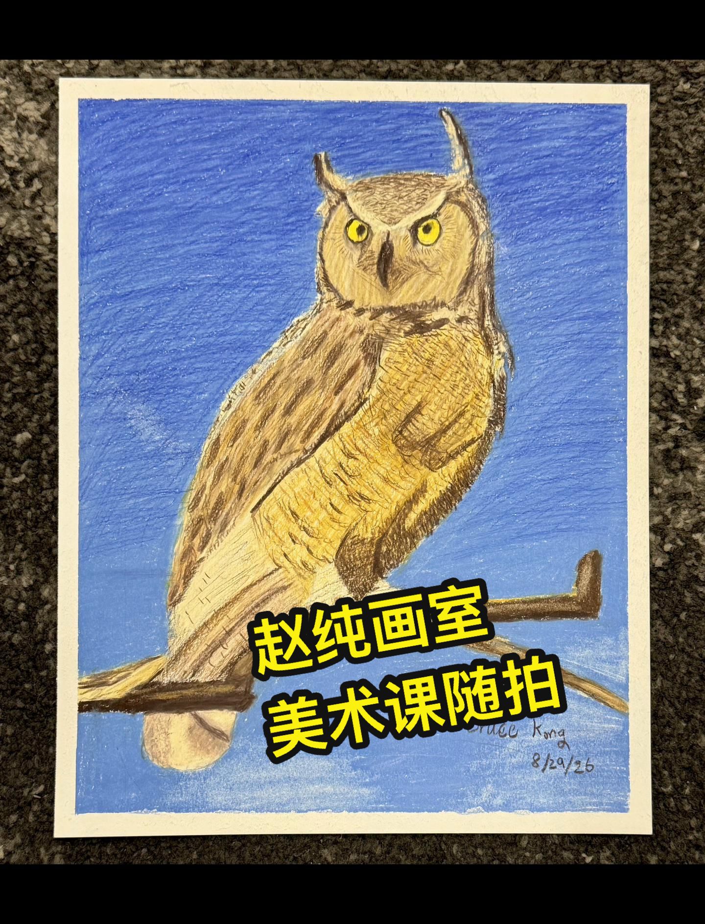 @画家赵纯