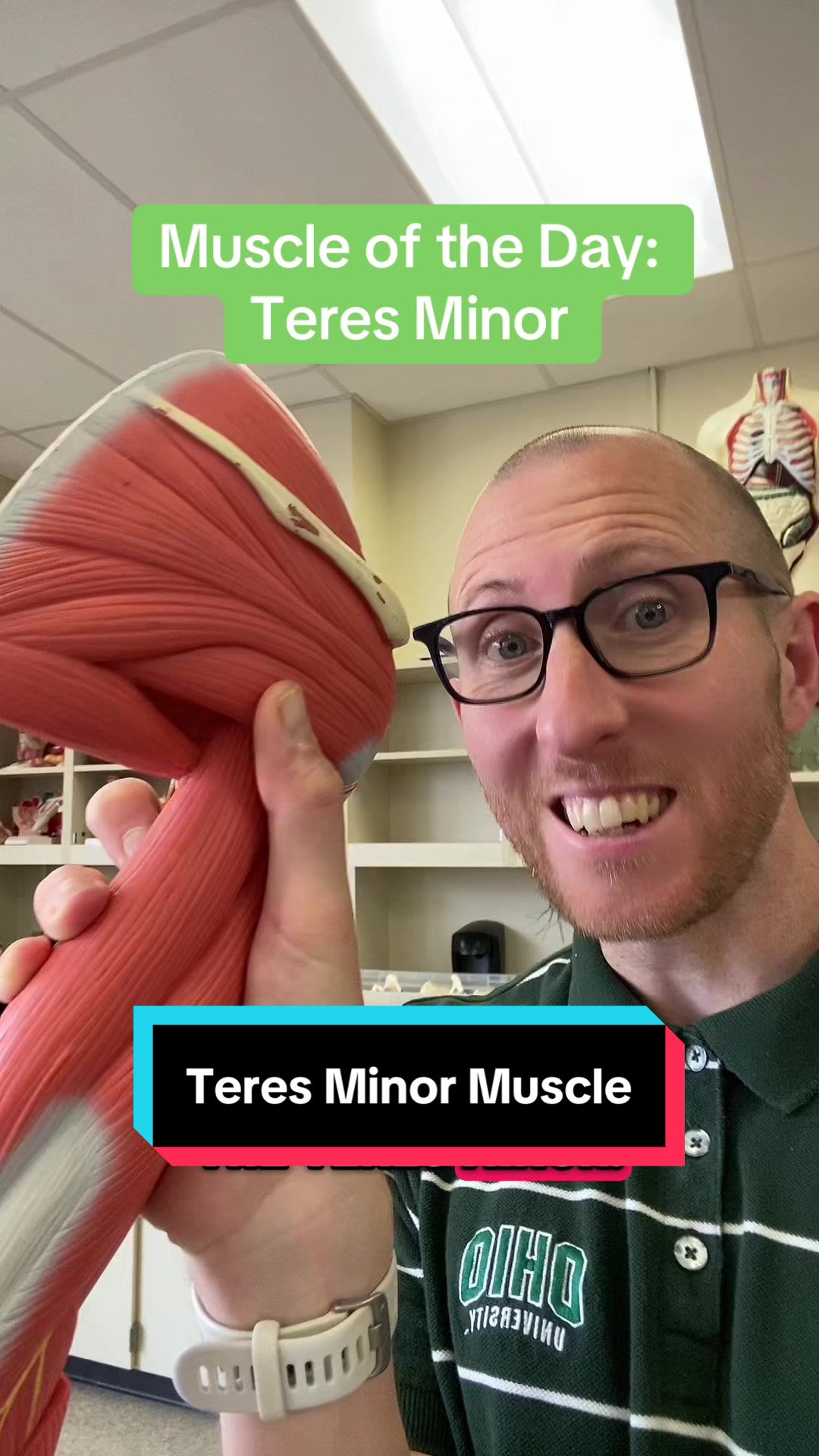 @musclesdaily