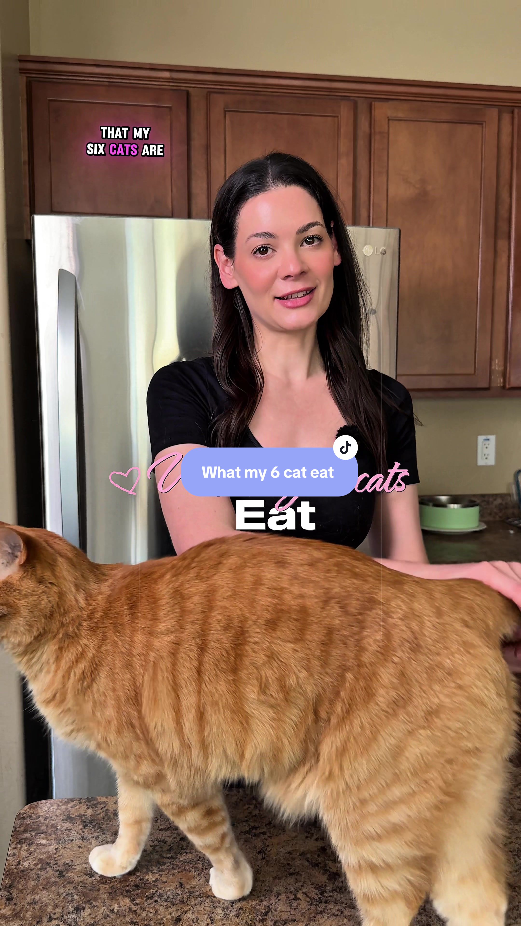 @Feminist Kitty | Cat Nutrition