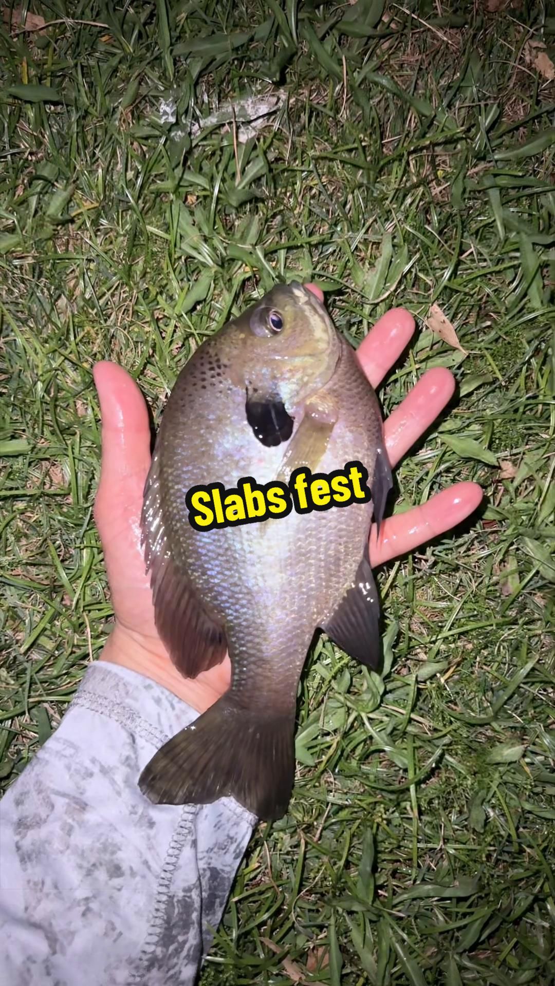 @Luu Nguyen Fishing