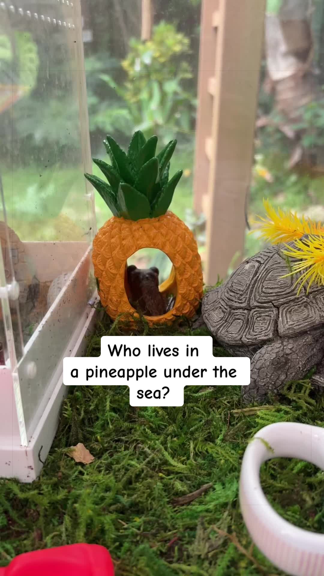@originalSinkfrog