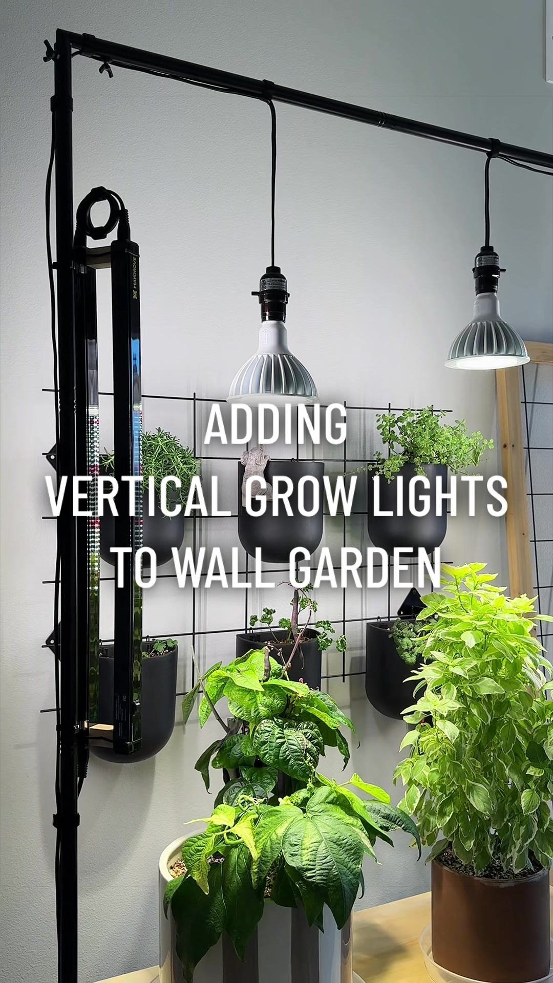 @gardeningindoors