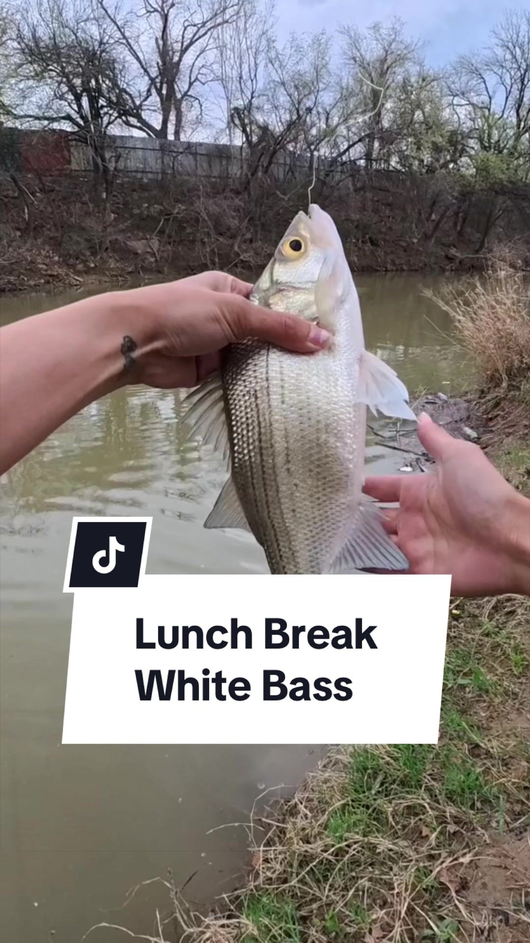 @fishingbri