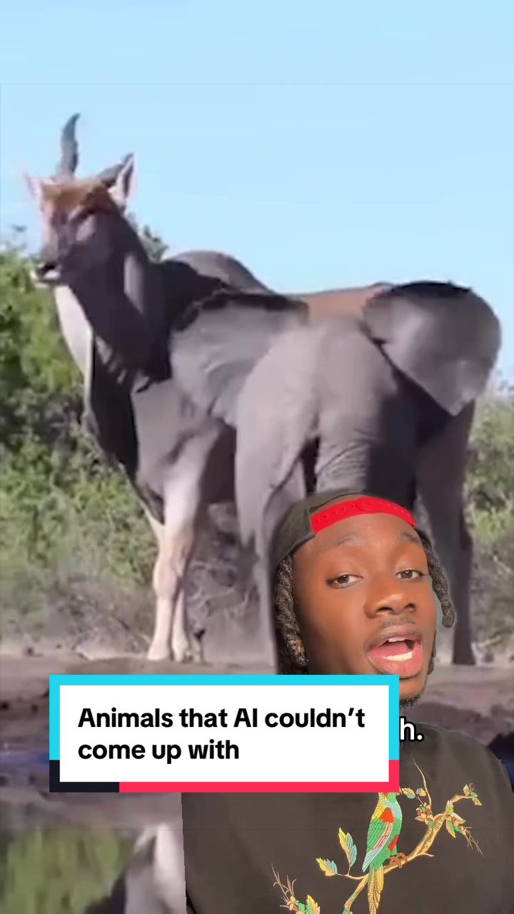 @mndiaye_97
