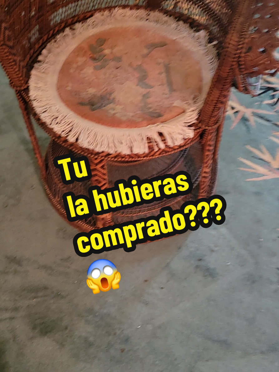 @Ale Escamilla