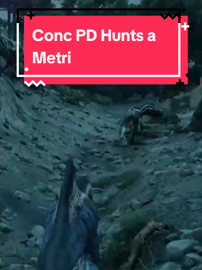 @Anti_Rhaye