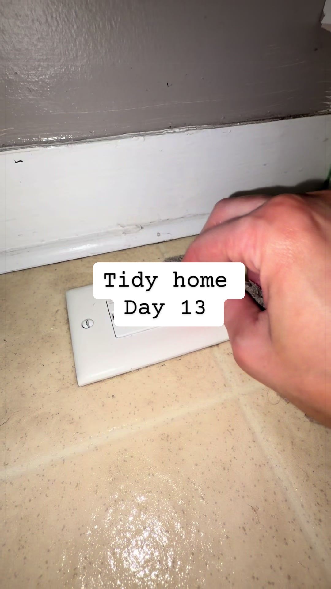 @Tidy_Tabitha
