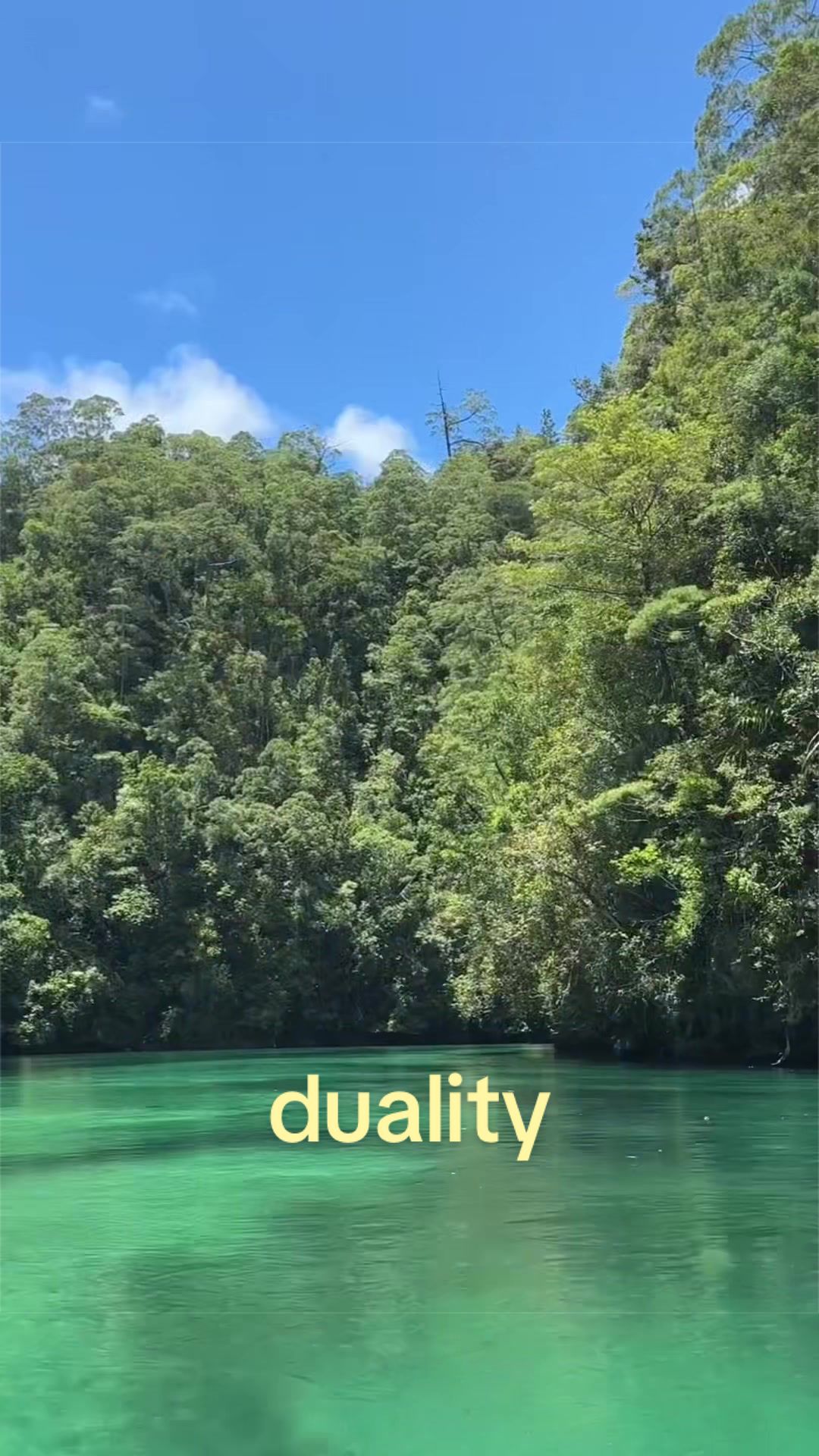 @sourtsunami