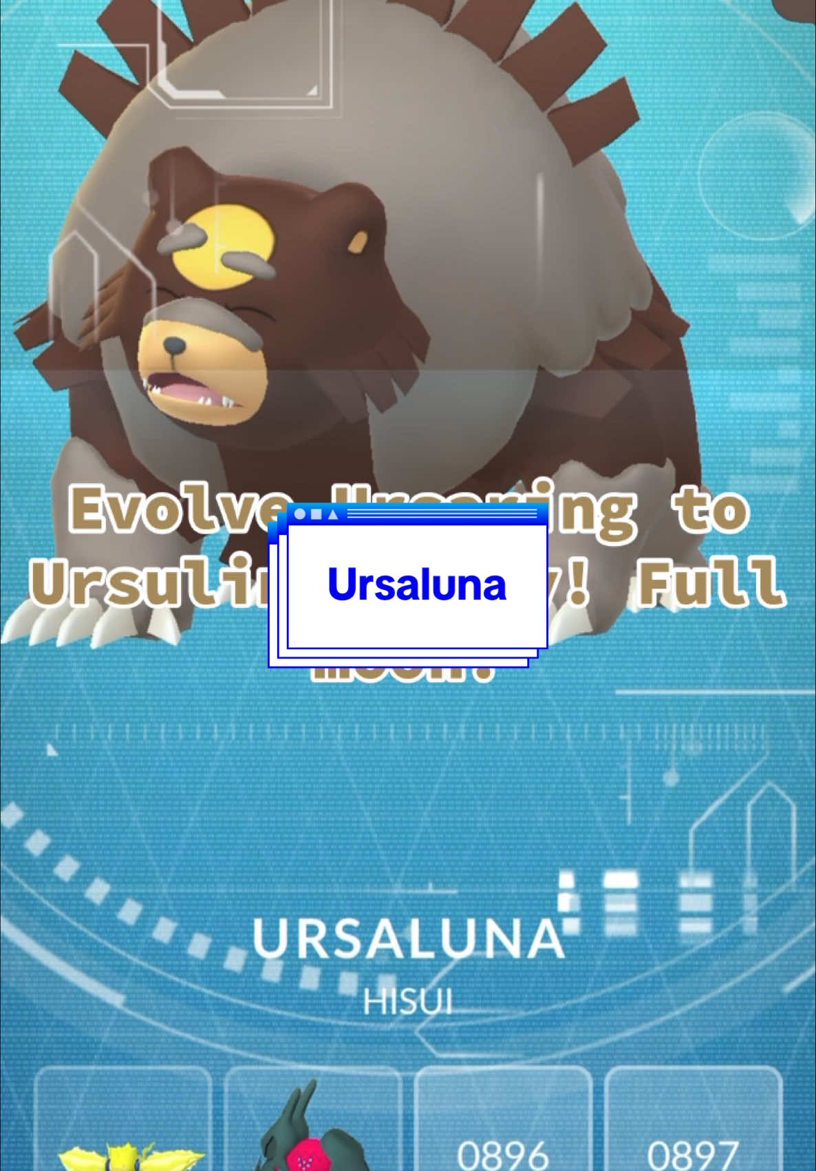 @Everything Pokemon