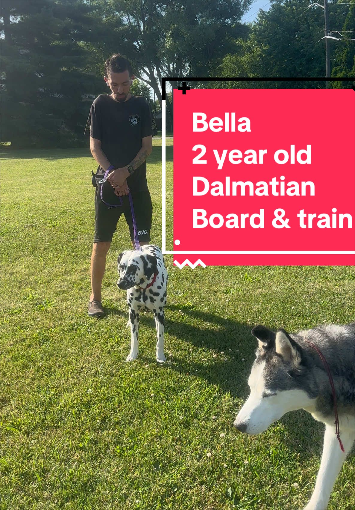@Fully Unleashed K9 Training
