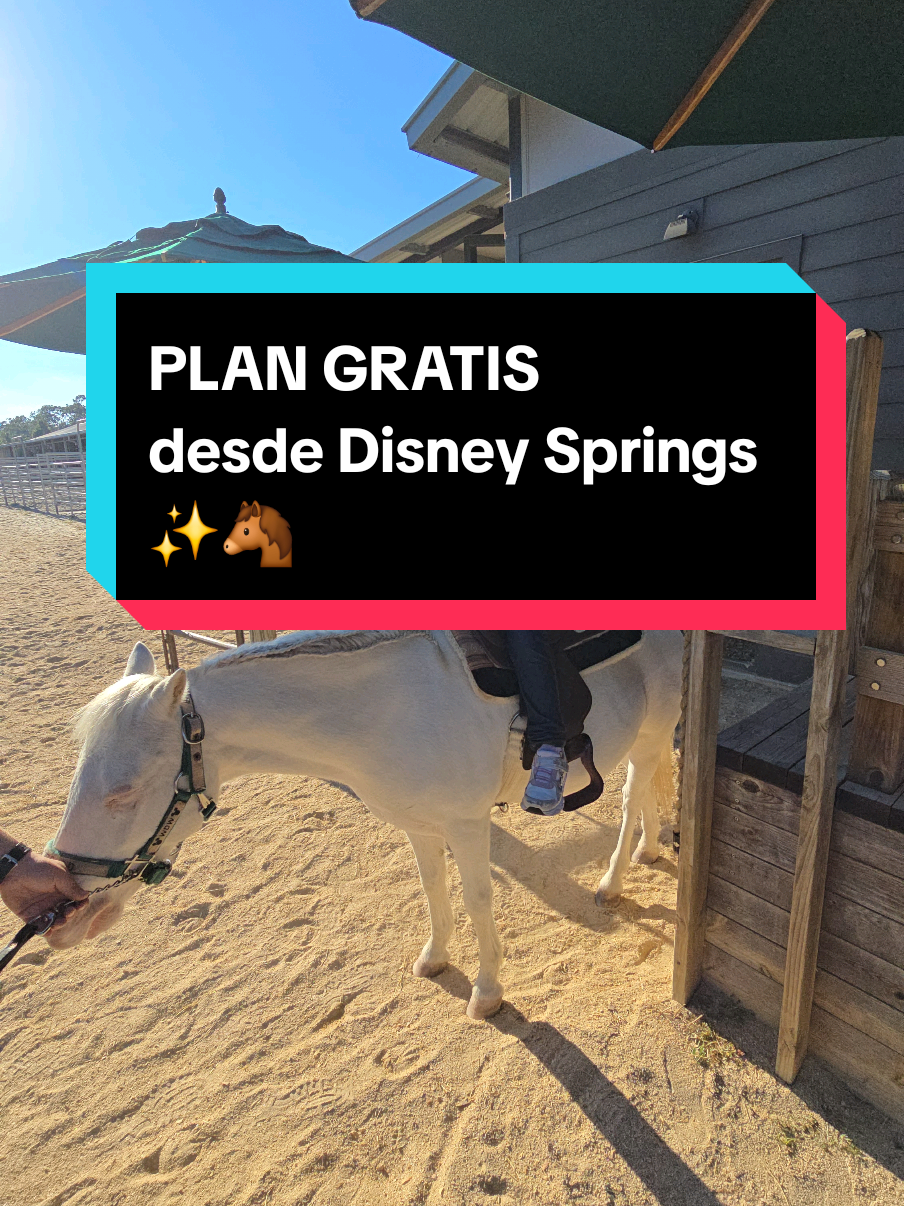 @Destinos de Mam&aacute;