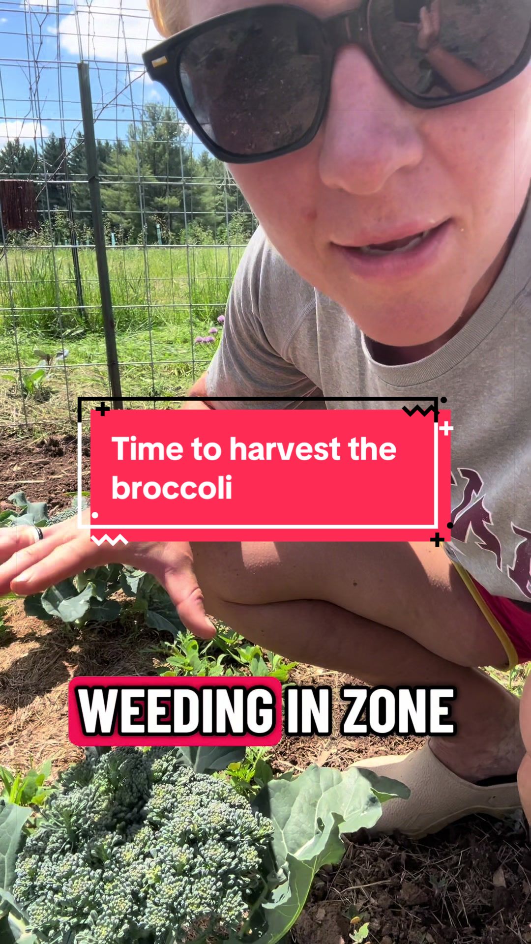 @littlesandycreekfarm