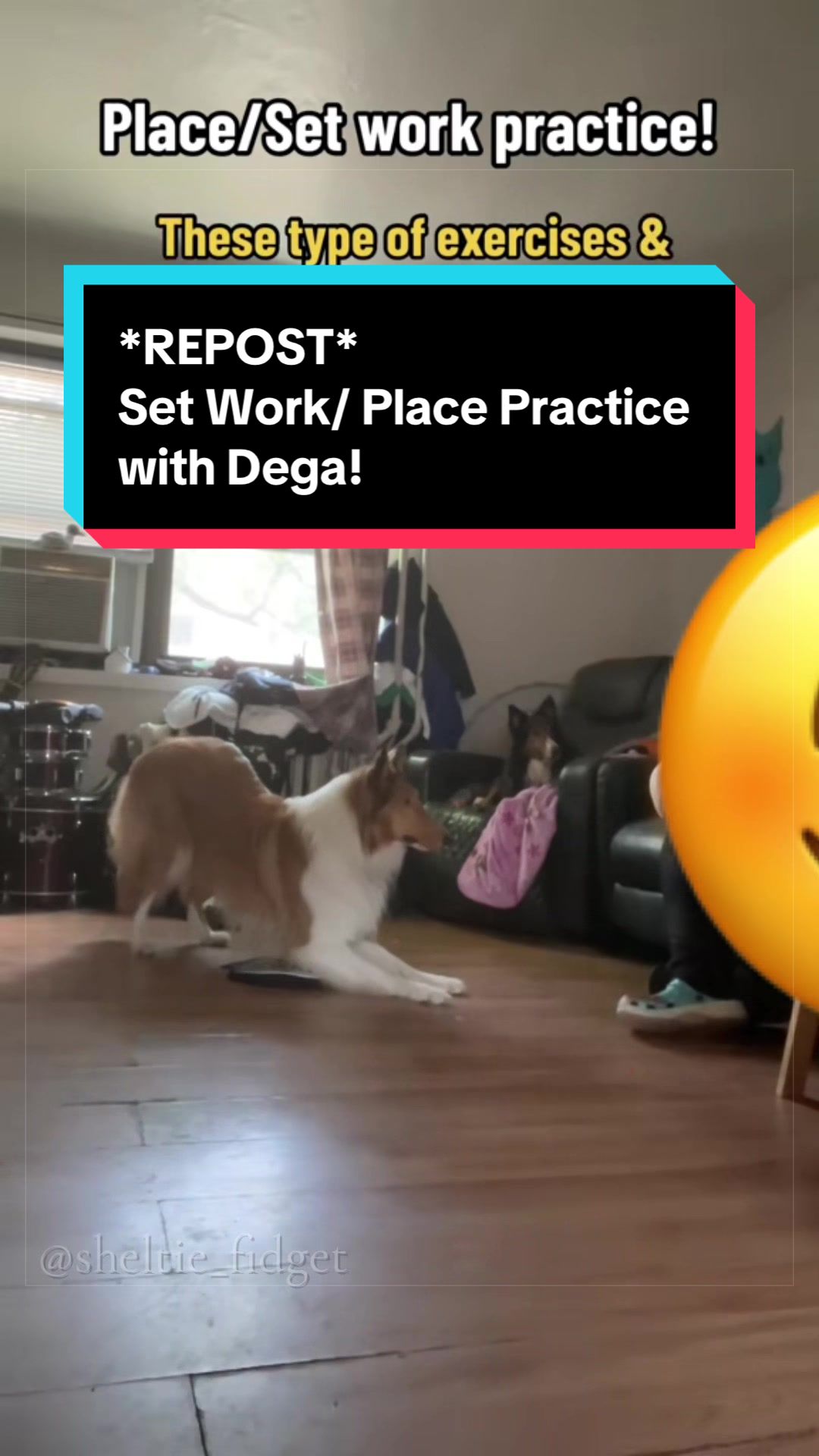 @Dakota & Pups