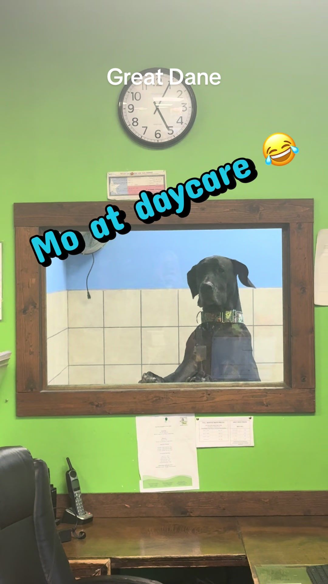 @Mo