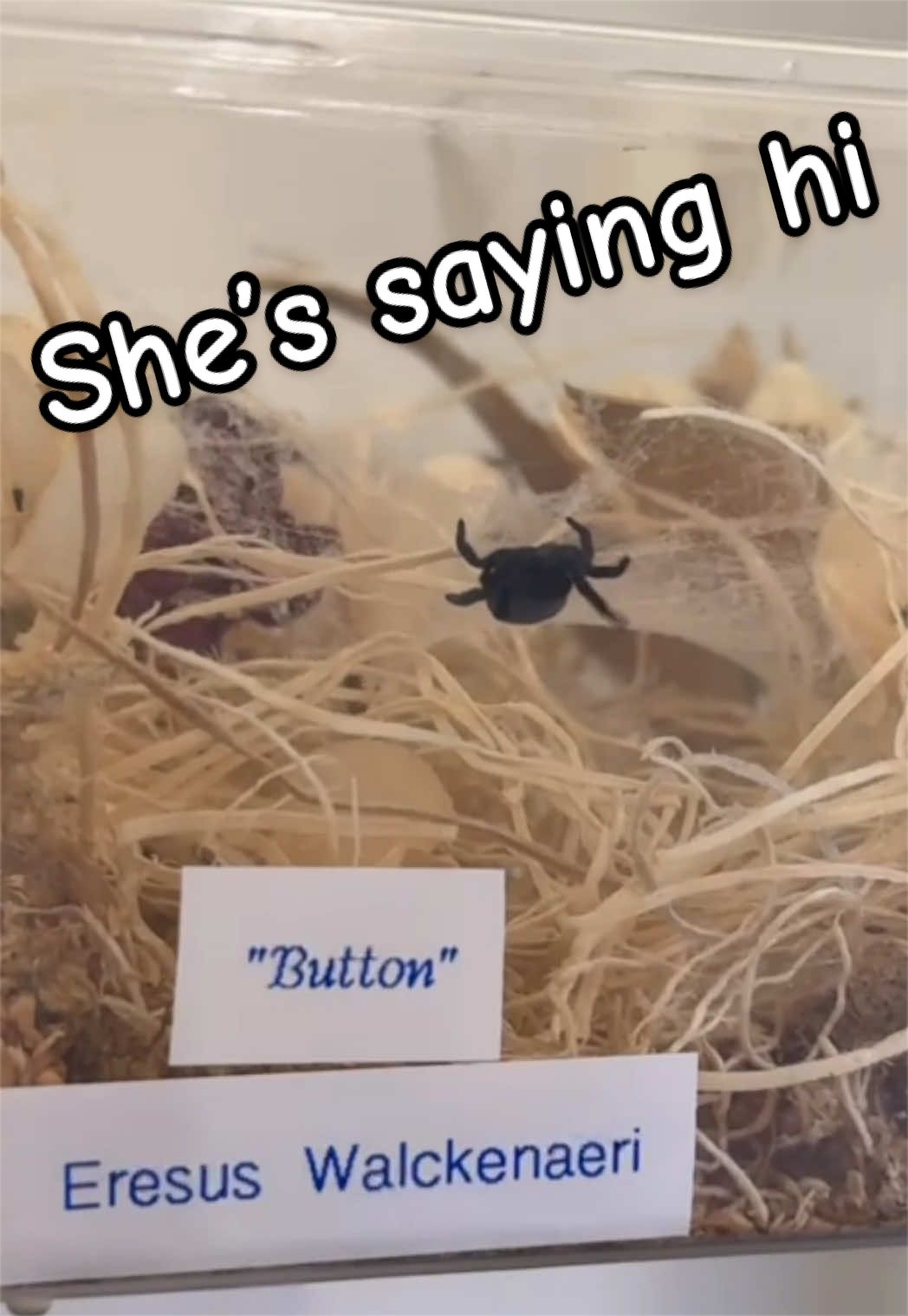 @Kara