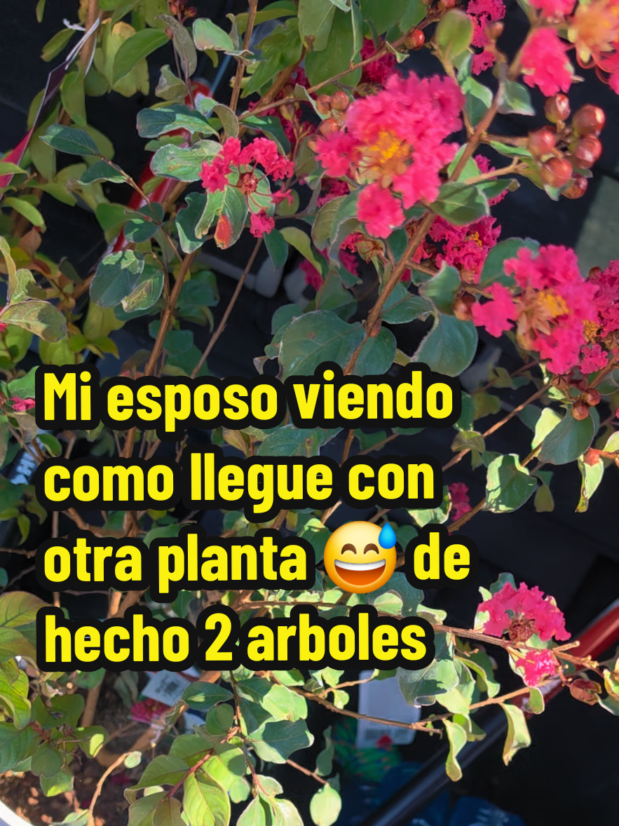 @Mi Rincón Favorito