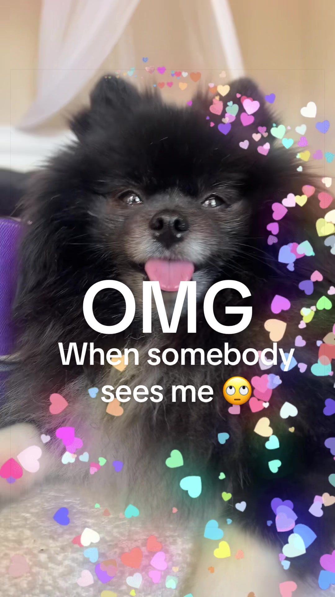 @BiggiePomPom