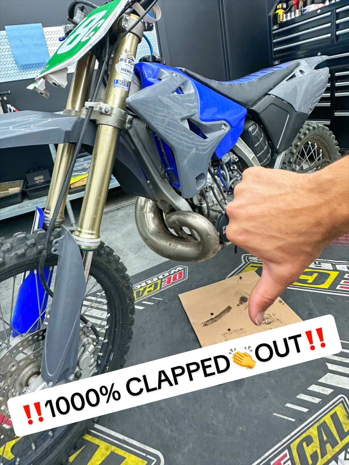 @mXrevival