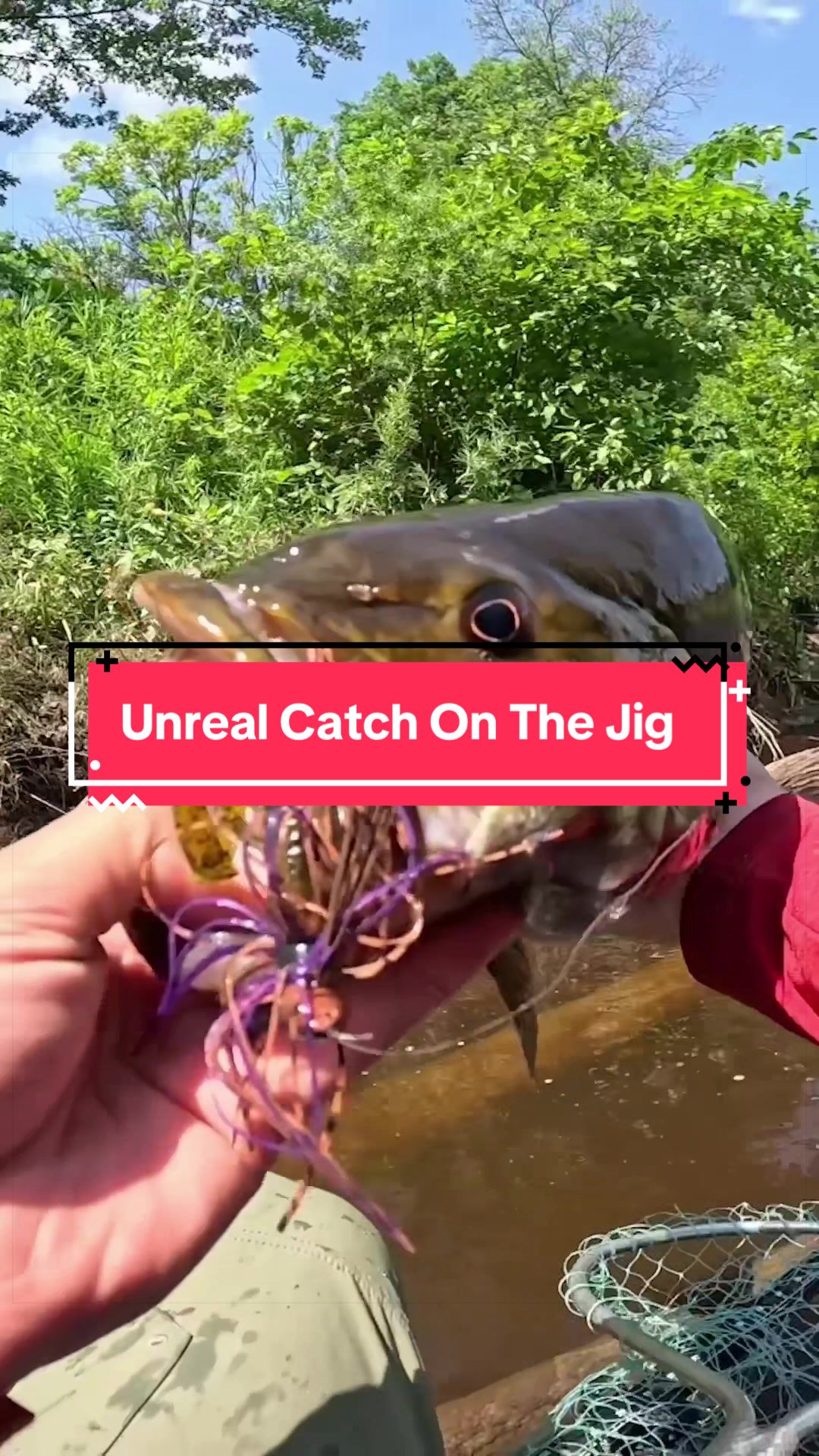 @TylersReelFishing