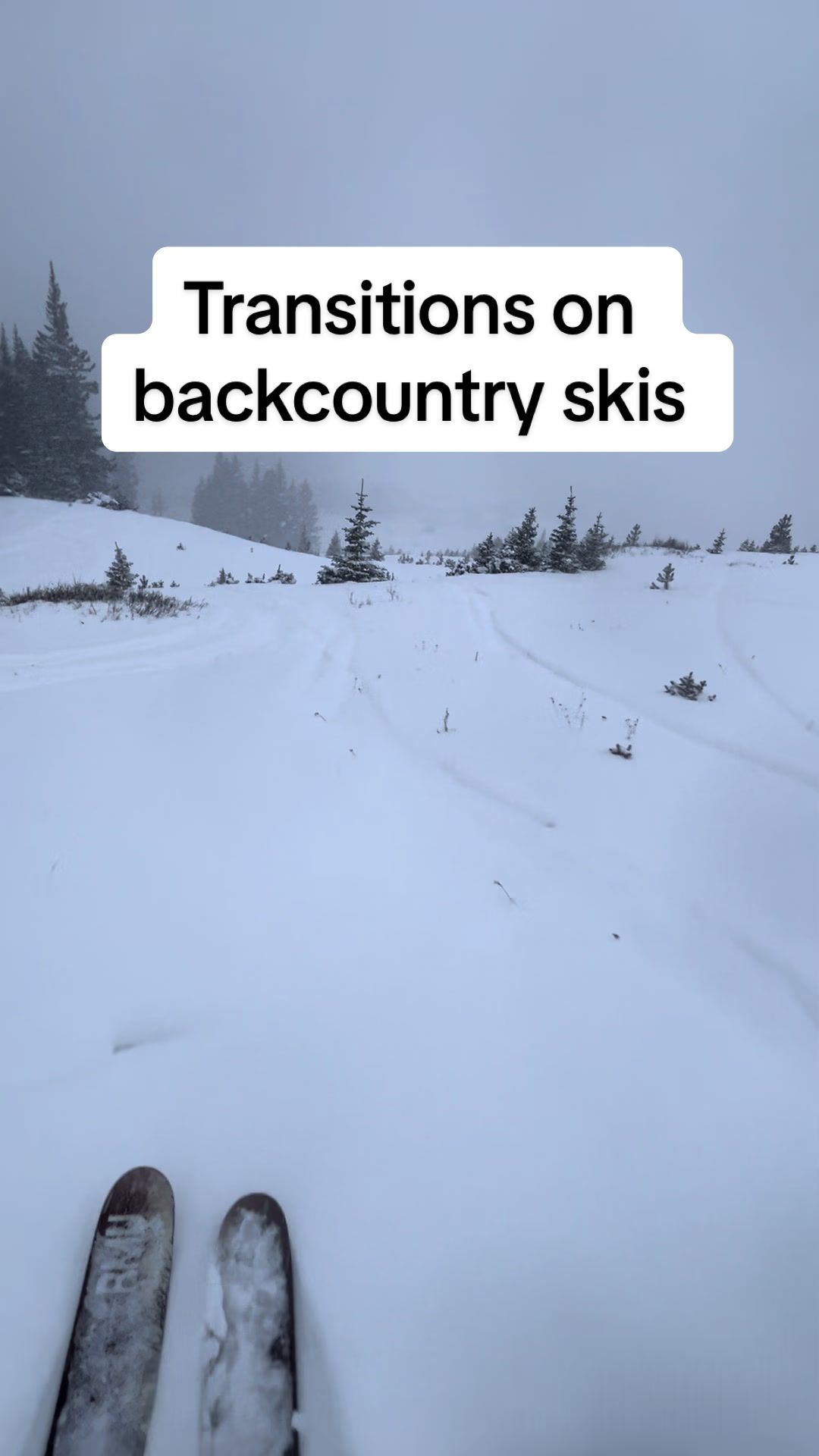 @Max Hancock