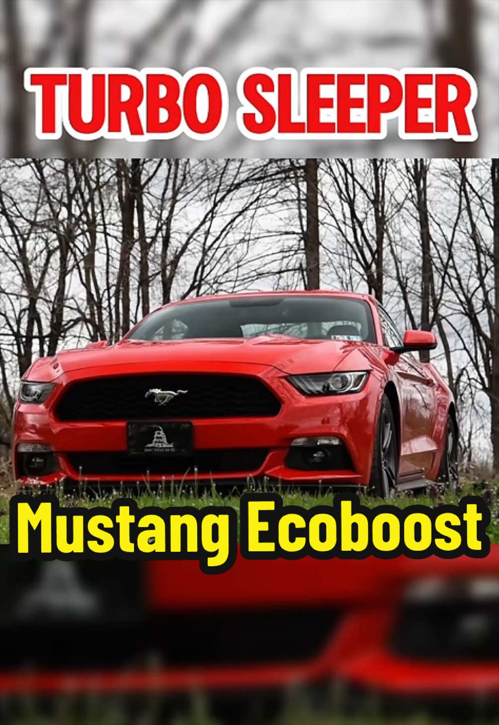 @TorqueHub🚘