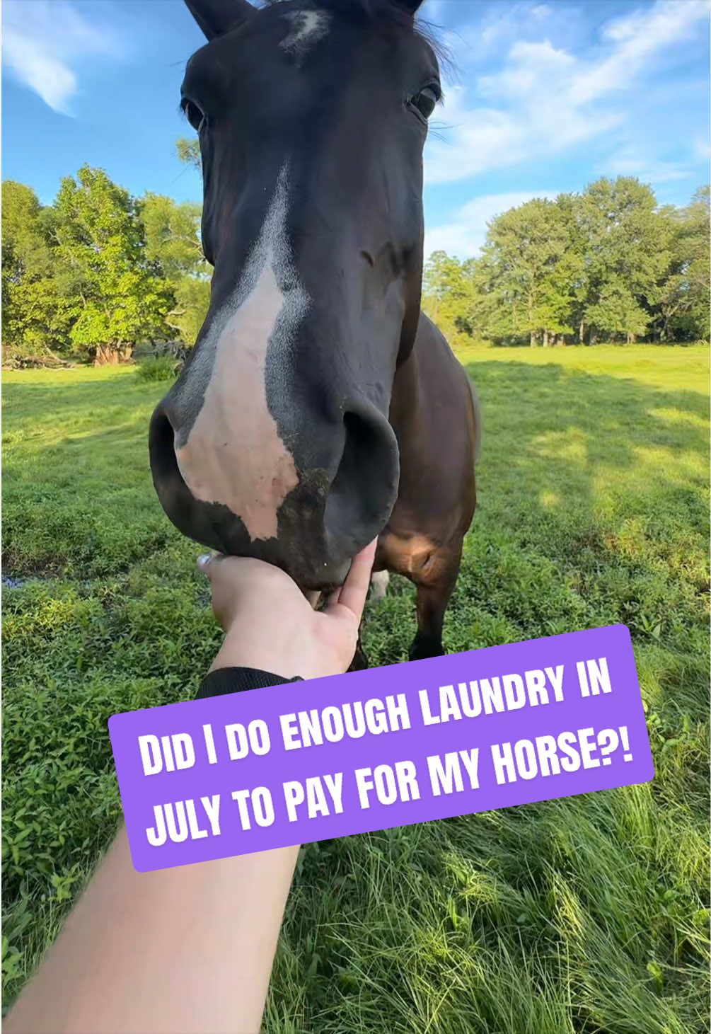 @Equestrian |🦄 Mom