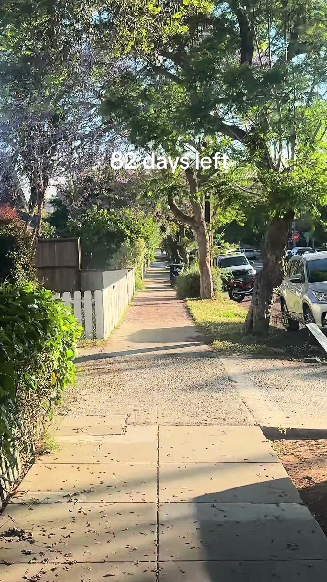 @🧿