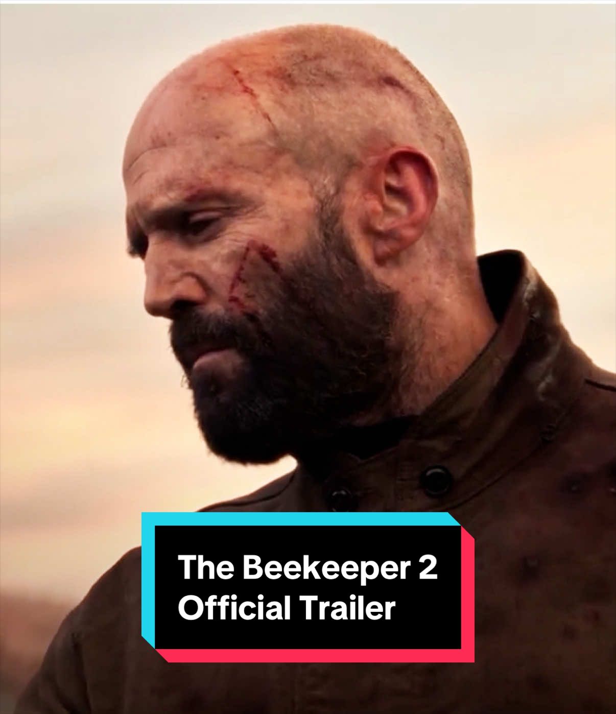 @Rotten Tomatoes
