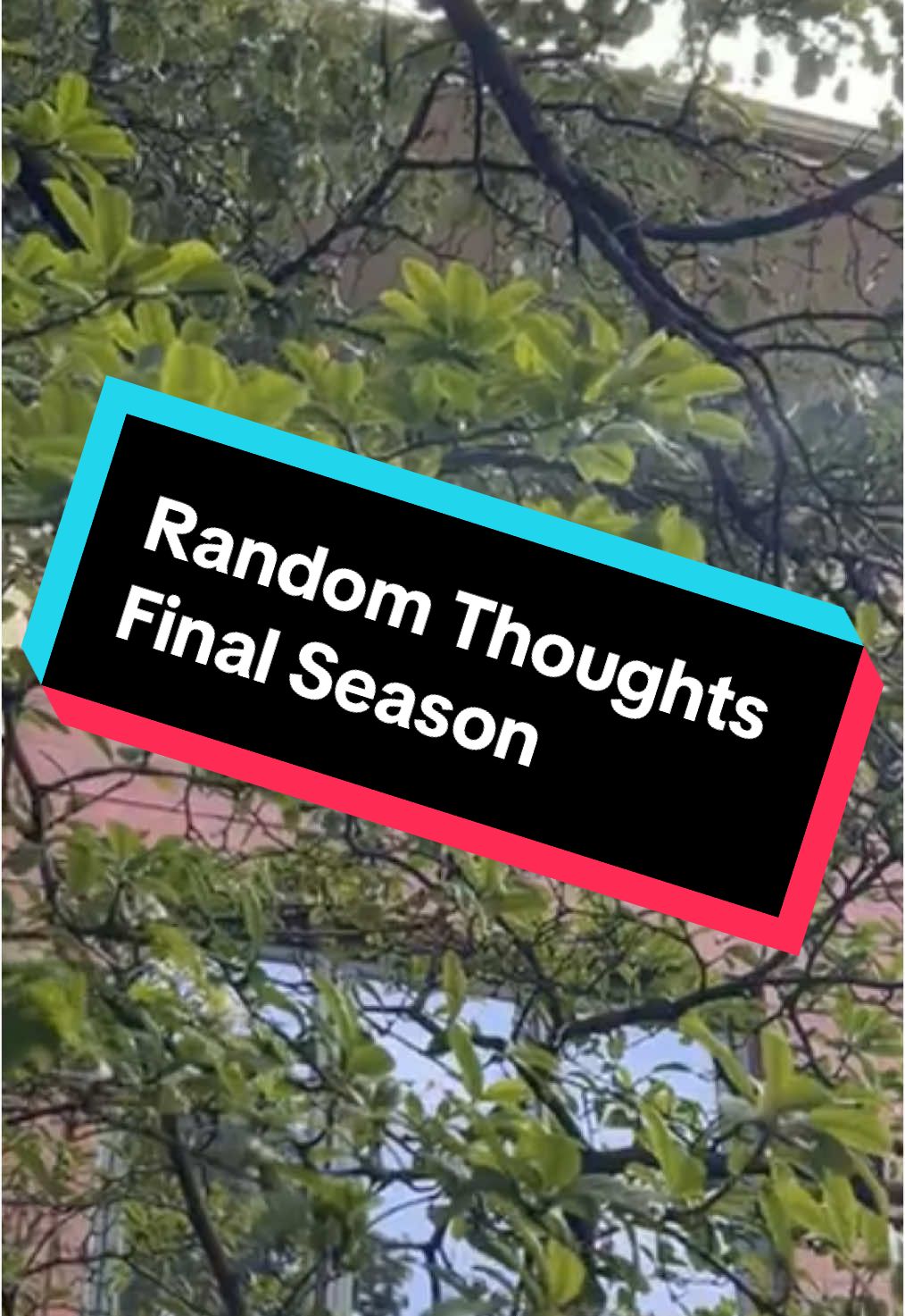 @CJ🌹