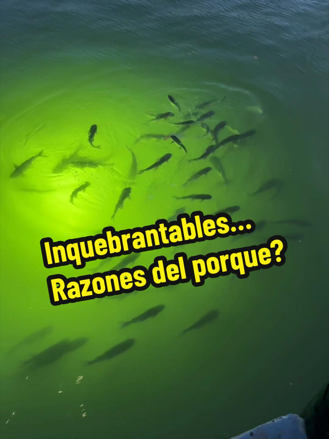 @Yordanka Fonseca