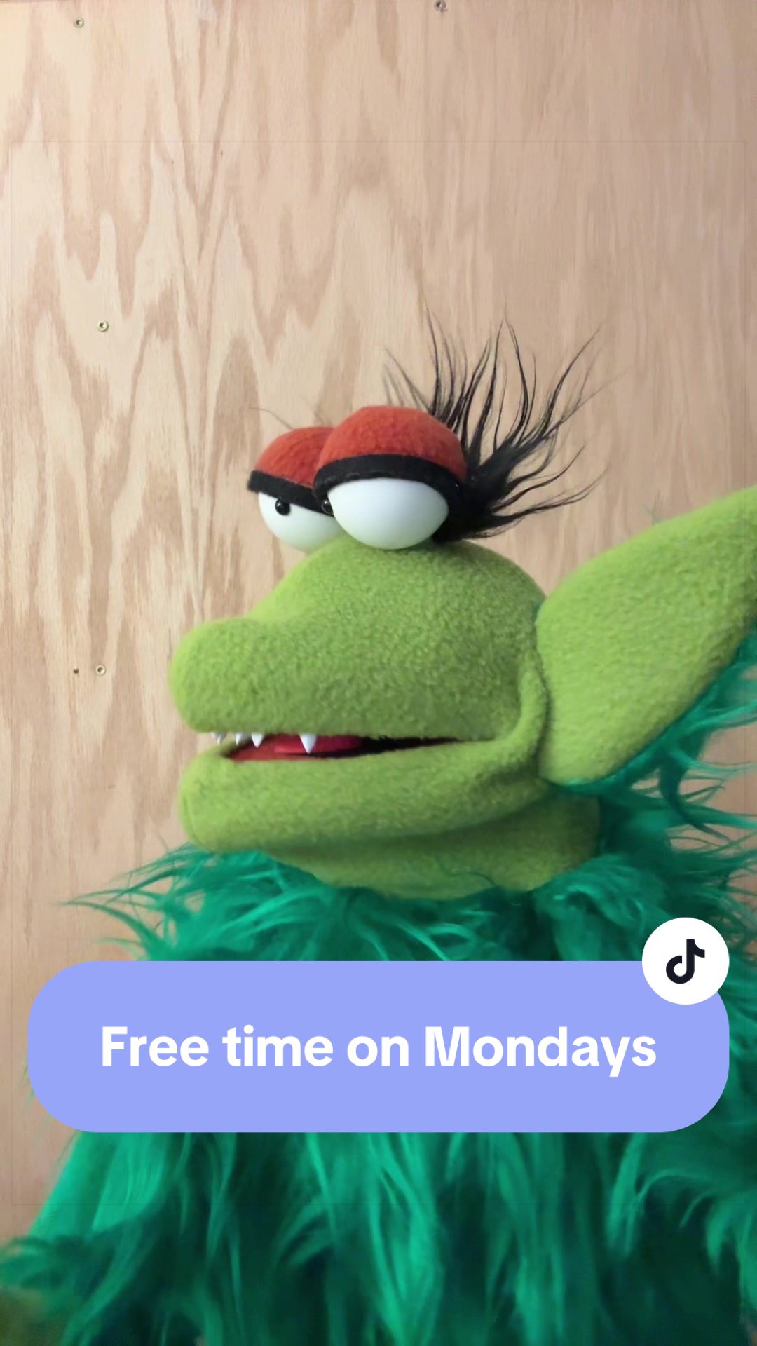 @Brooklyn Puppet Squad